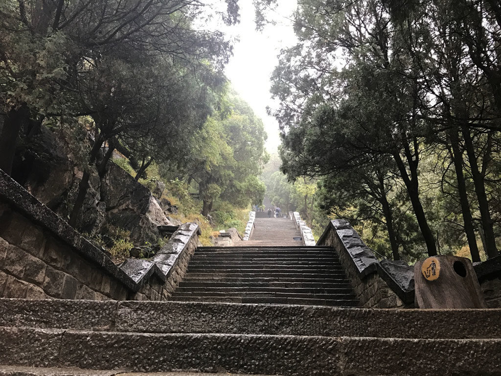 Shortly after starting hike from Red Gate is this "wall of steps".