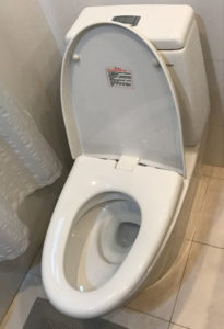 Western style toilet