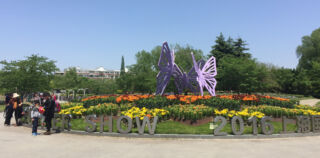 Garden Flower Show 2016