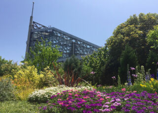 Tropicarium building