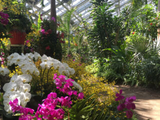 Garden path inside the Tropicarium