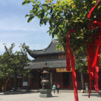 Prayer ribbons handing from tree