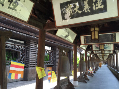Peaceful corridor along canal Path along canal