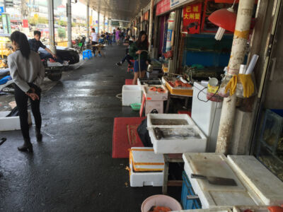 Looking down one of the sidewalks at the fish market Zhenru fish market