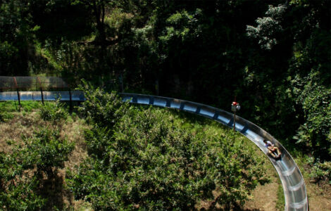 Slide down the mountain