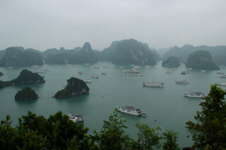 View from Ti Top Island, Hạ Long Bay looking at lots of cruise boats.