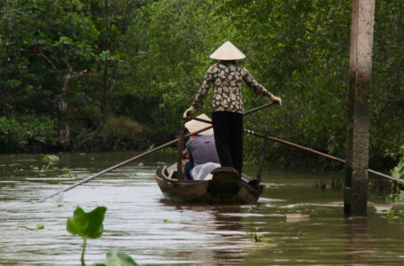 A quite ride through canals in Mekong Delta