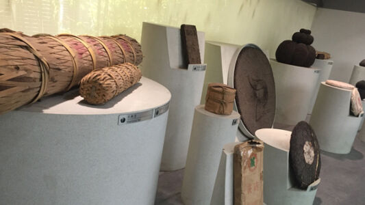 Display of various styles of tea brick manufacture