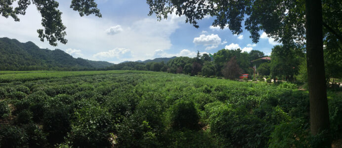 Not too far from the city yet very peaceful