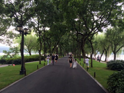 The main causway lined with weeping willow trees