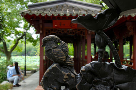 Just an interesting closeup of something