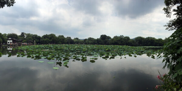 One of the ponds in the central island