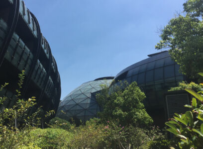 The Crowne Plaza hotel is pretty cool looking