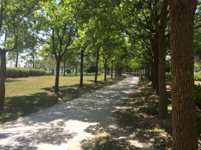 Peaceful walk along lakeside path