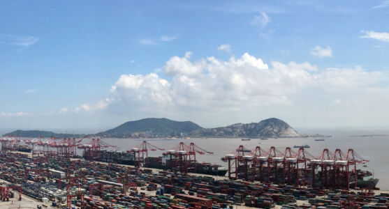 Container ships at port