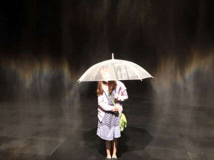 Rainbow assembly, 2016
Leeum, Samsung Museum of Art, Seoul, 2016 Olafur Eliasson: The parliament of possibilities, Leeum, Samsung Museum of Art