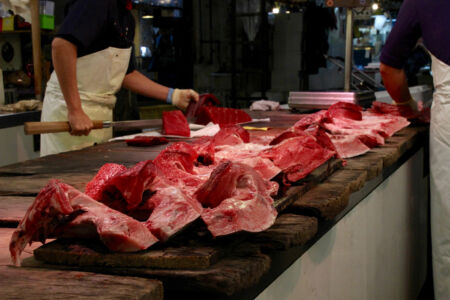 I think this is tuna fish. It's pretty big, that's for sure. tuna fish