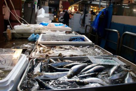 Close up of fish makes you hungry. Closeup of some fish