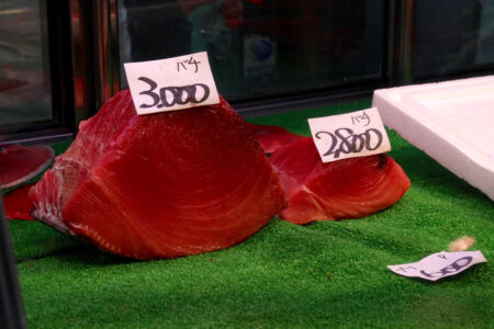 A very fresh hunk of fish for sale. Tuna on display