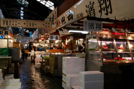 So many vendors tightly packed inside the market. Yet it's so clean! Inside Tsukiji market