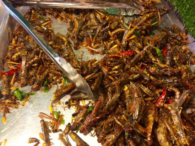 Grasshoppers for the edible. I think only the tourist actually eat these things. Fried grasshoppers