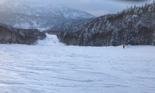 Looking down one of the green trails to the lodge in the distance. green trail