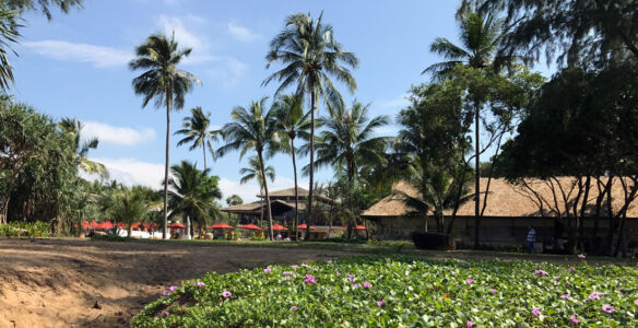 View of the JW Marriott from the beach beach side of the hotel