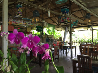 The patio at Kindee where we had our cooking class then lunch Kindee patio