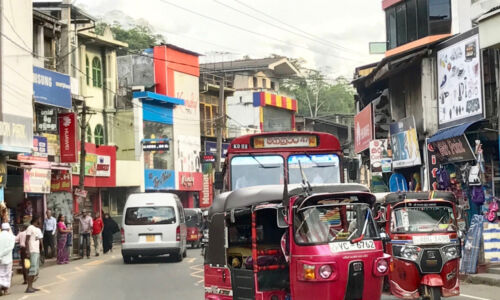 Driving in Sri Lanka is not for the faint of heart. It is crowed and risky. However, driving gave us many opportunities to see neat smaller towns. Street in Sri Lanka