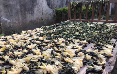Vegetables drying in the sun. It seems to be a thing in this town as I saw many like this. Greens drying in the sun