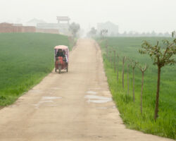 Misty country road