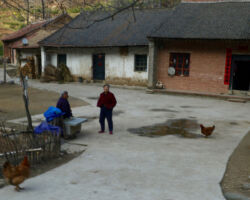 Mtn villagers