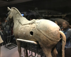 Terracotta horse