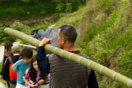 Bamboo tube