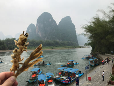 Li River snack