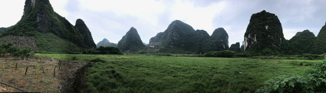 Farm field in Yangshou