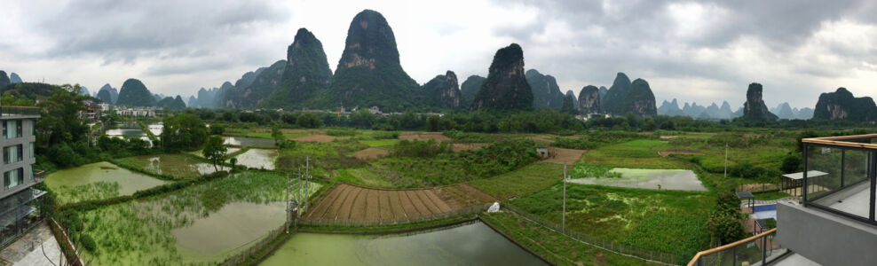 Room with a view