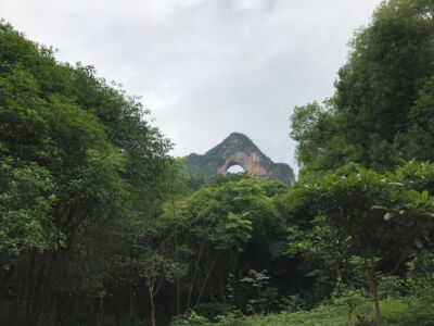 Moon Hill