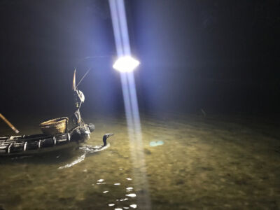 Bird fishing