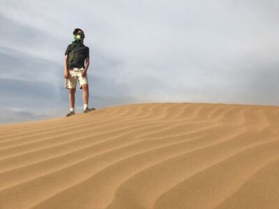 Sand dune in desert