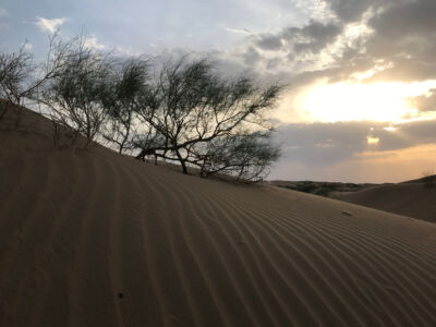 Sunset in desert