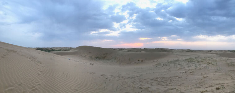 Sunset in the desert