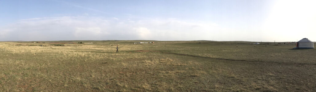 Grassy plains