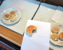 Delicious traditional pastry filled with red bean, nuts & seeds, and other stuff. pastry