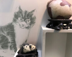 Yep, these look just like a cat. Rock cats