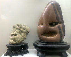 These were in the "faces" display section. Rock faces