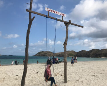 People enjoyed having a photo taken in this swing. swing on beach