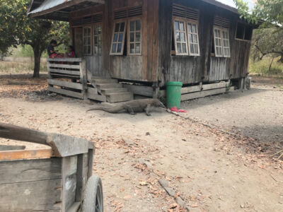 Komodo Island, Indonesia