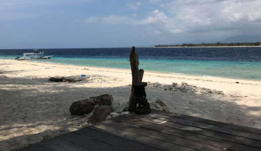 Imagine sitting at the bar and this is your view. Beach bar vista