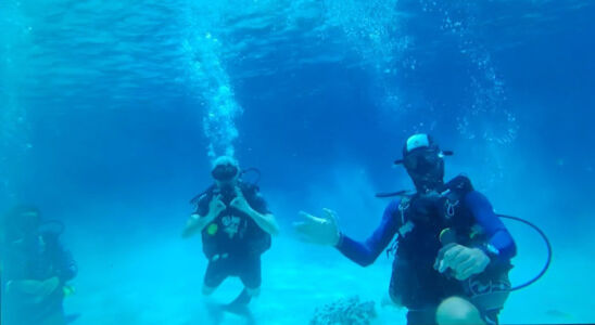 Getting ready for scuba adventure. Underwater divers